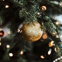 God Jul 2021