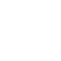flake1